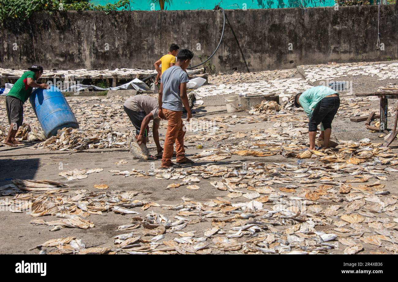 Workes drying fish, Livingston, Guatemala Stock Photo