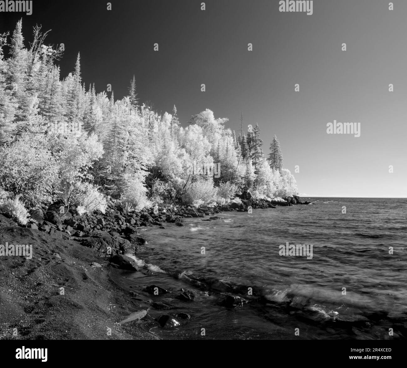 Infrared of trees lining the shores of Lake Superior; Thunder Bay