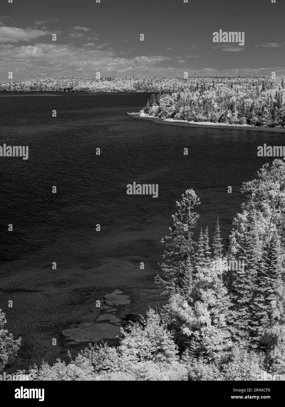 Infrared of trees lining the shores of Lake Superior; Thunder Bay