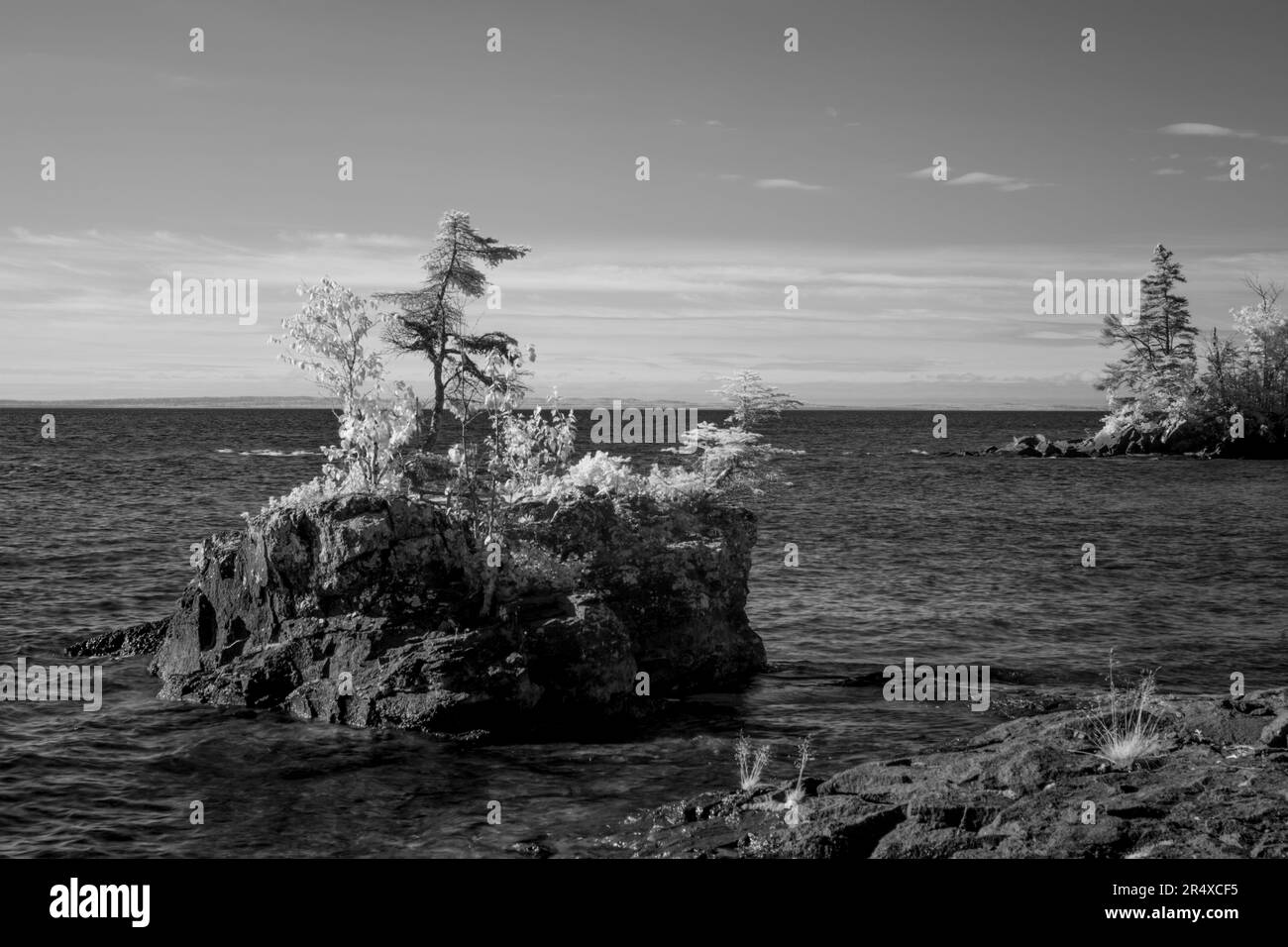 Infrared of trees lining the shores of Lake Superior; Thunder Bay