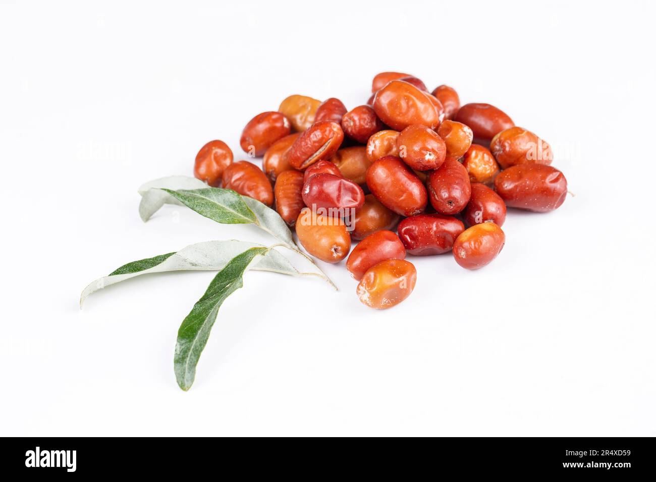 Olive tree agriculture Cut Out Stock Images & Pictures - Alamy