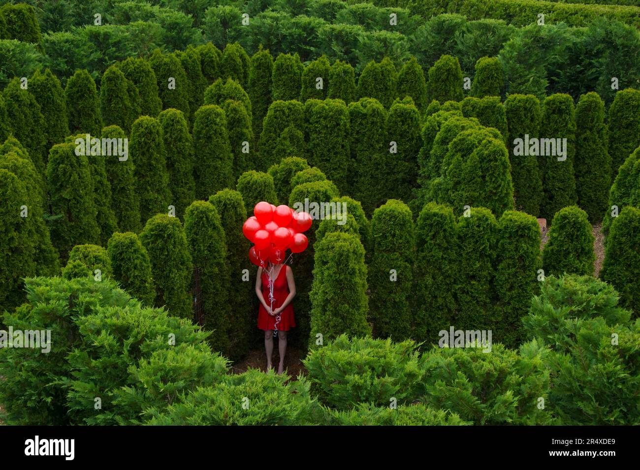 Young woman stands with a cluster of red balloons obscuring her face in a garden area; Luray, Virginia, United States of America Stock Photo