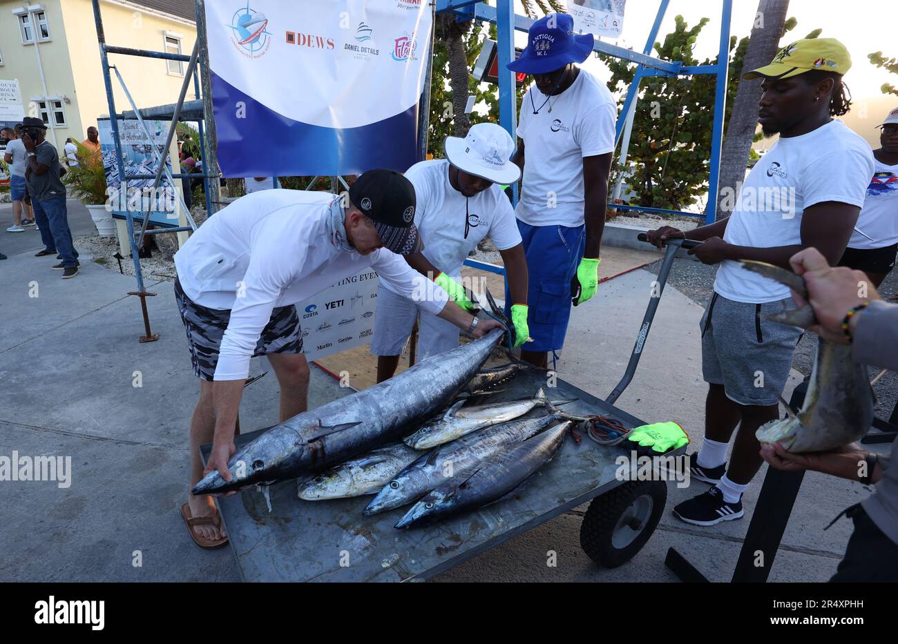 Competitors bring their catch to shore to be weighed on the final day