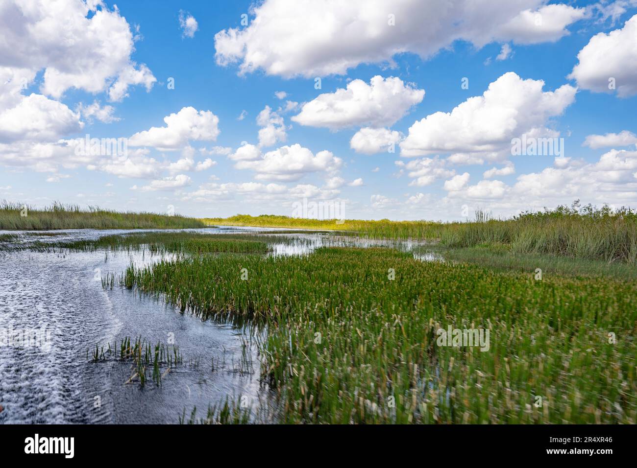 Everglades, Florida, USA. 8th May, 2023. Everglades National Park is a