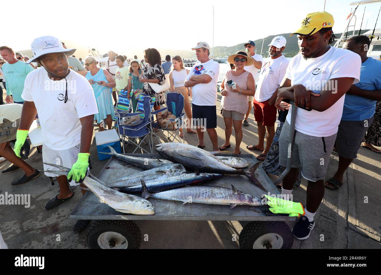 Competitors bring their catch to shore to be weighed on the final day