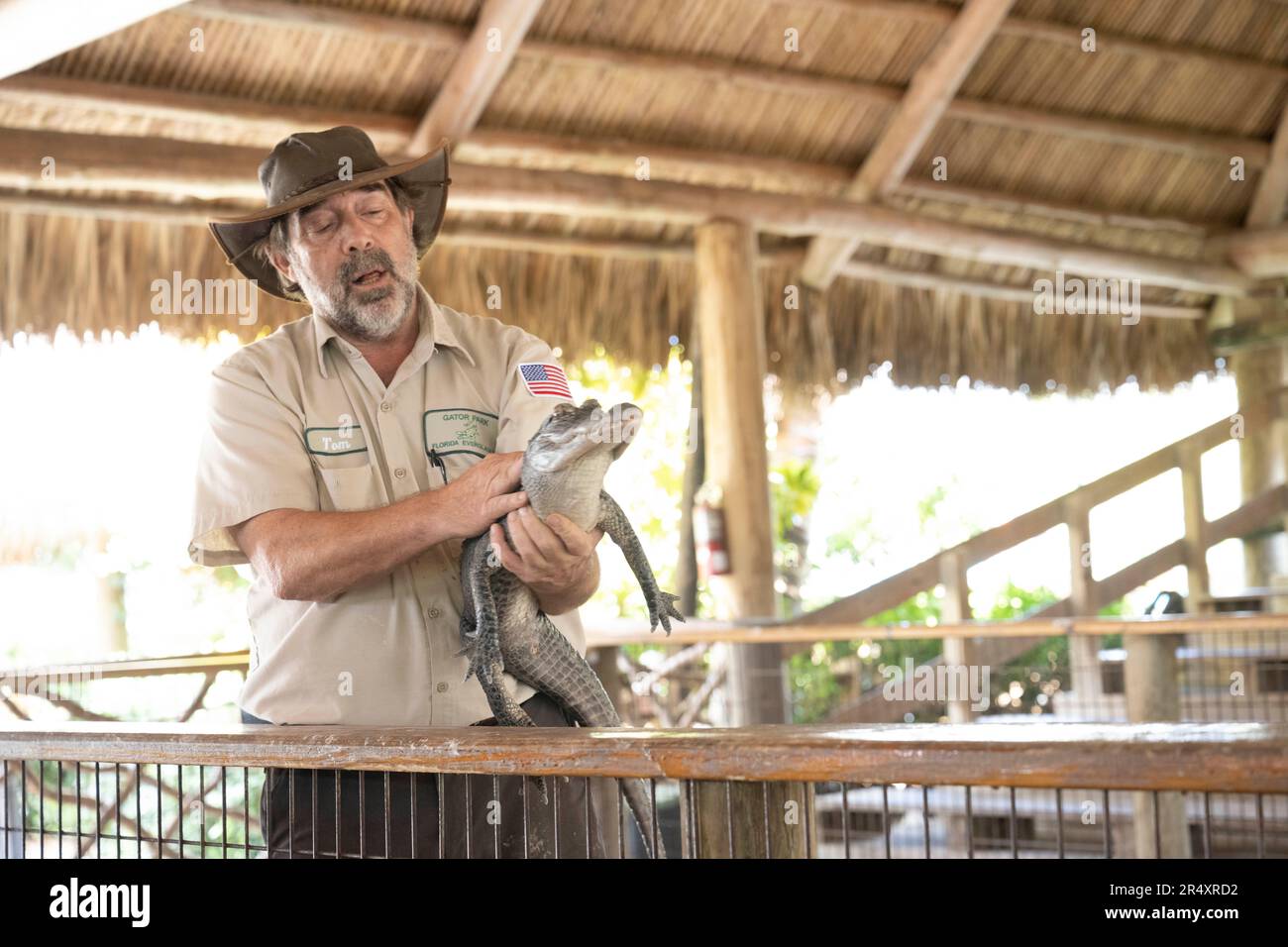May 8, 2023, Everglades, Florida, United States: A zoo keeper holding