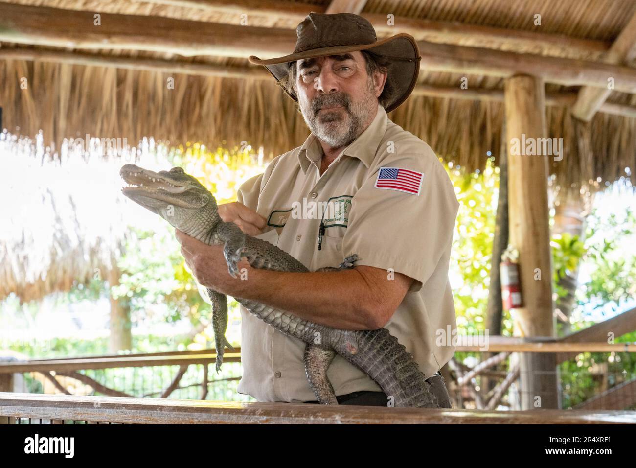 Everglades, Florida, USA. 8th May, 2023. A zoo keeper holding an