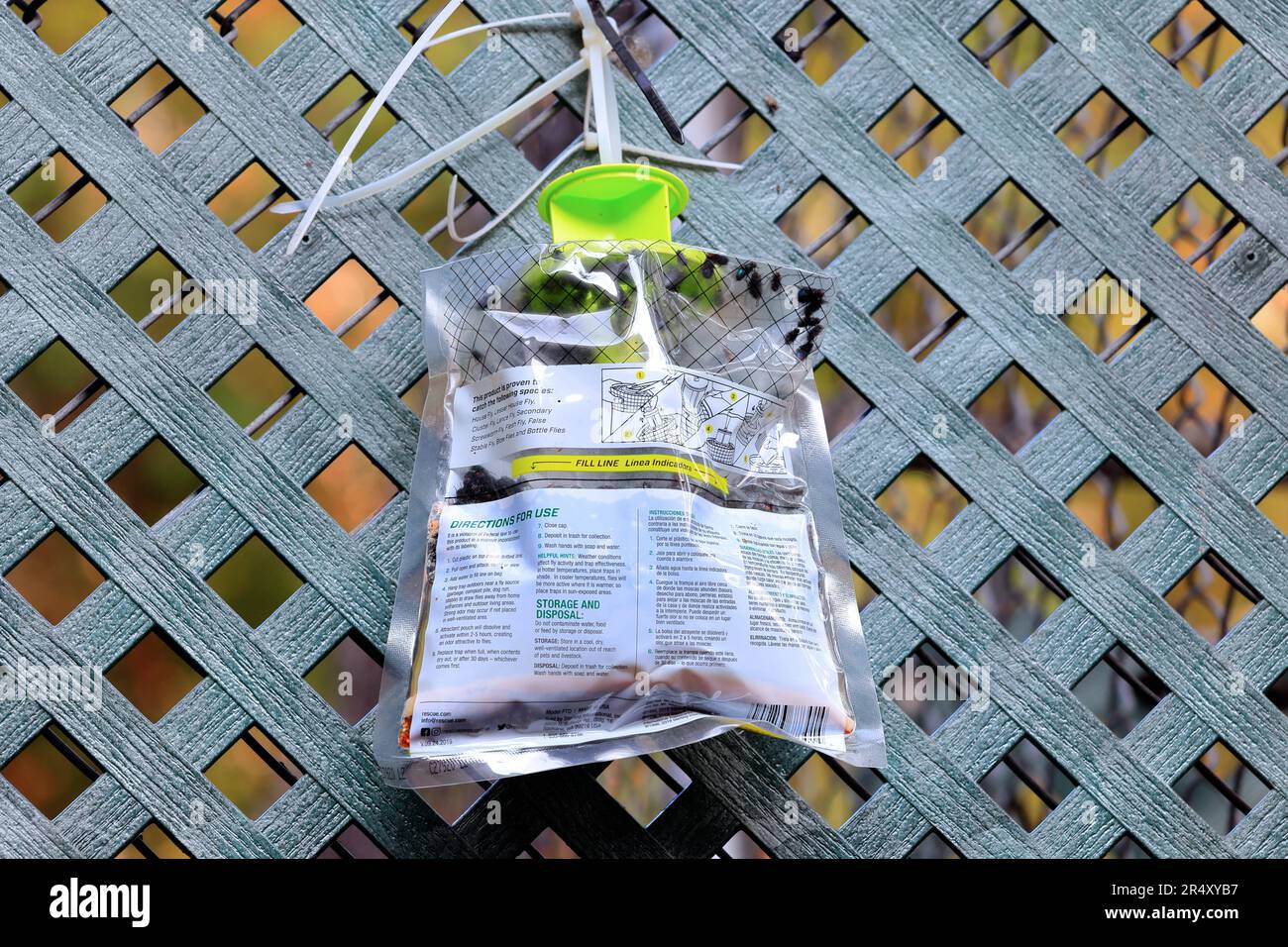 A Rescue brand Outdoor Disposable Fly Trap strapped to a wall, and filled with flies. Stock Photo