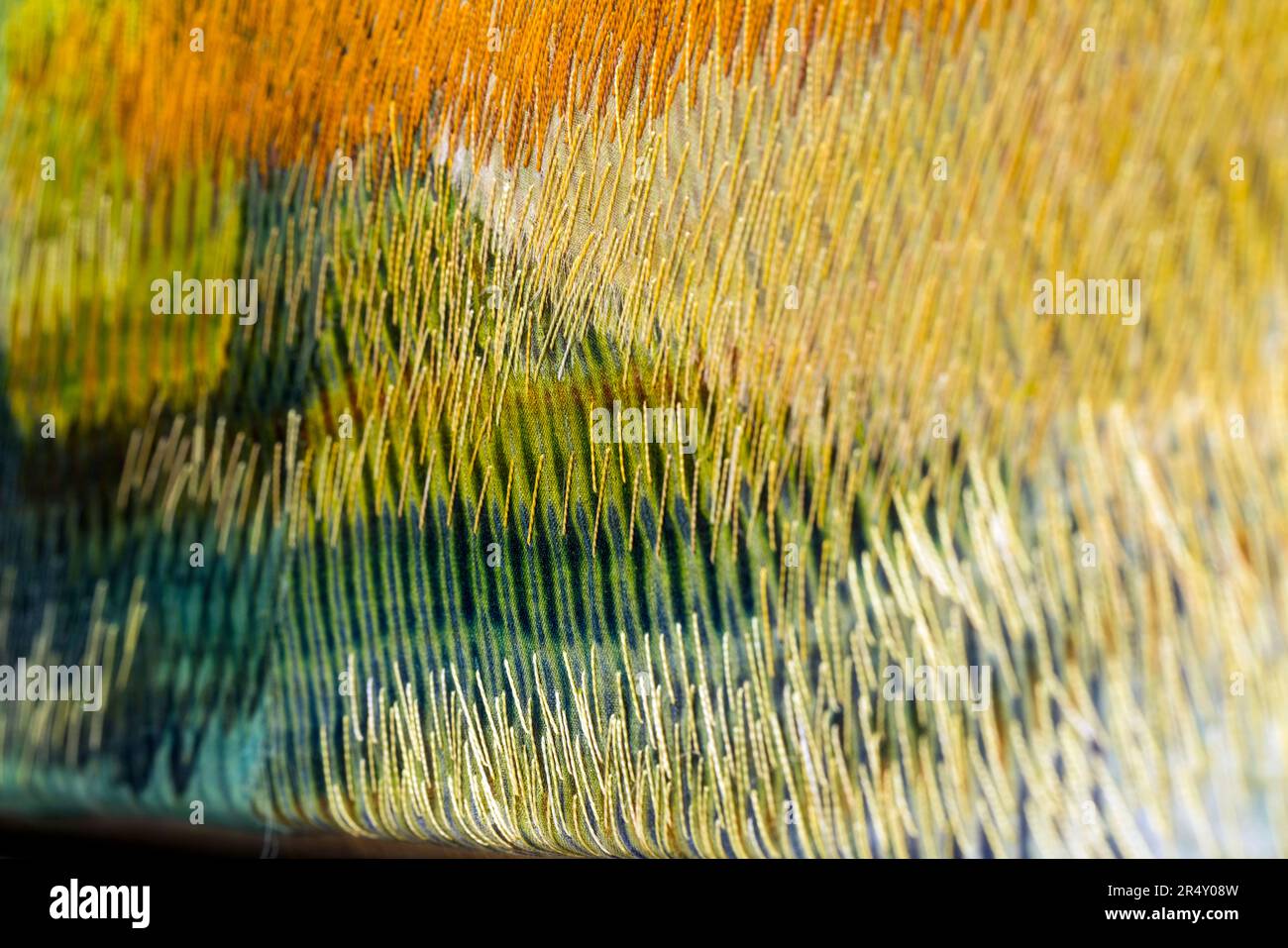 Colorful abstract close-up of fiber art piece Stock Photo