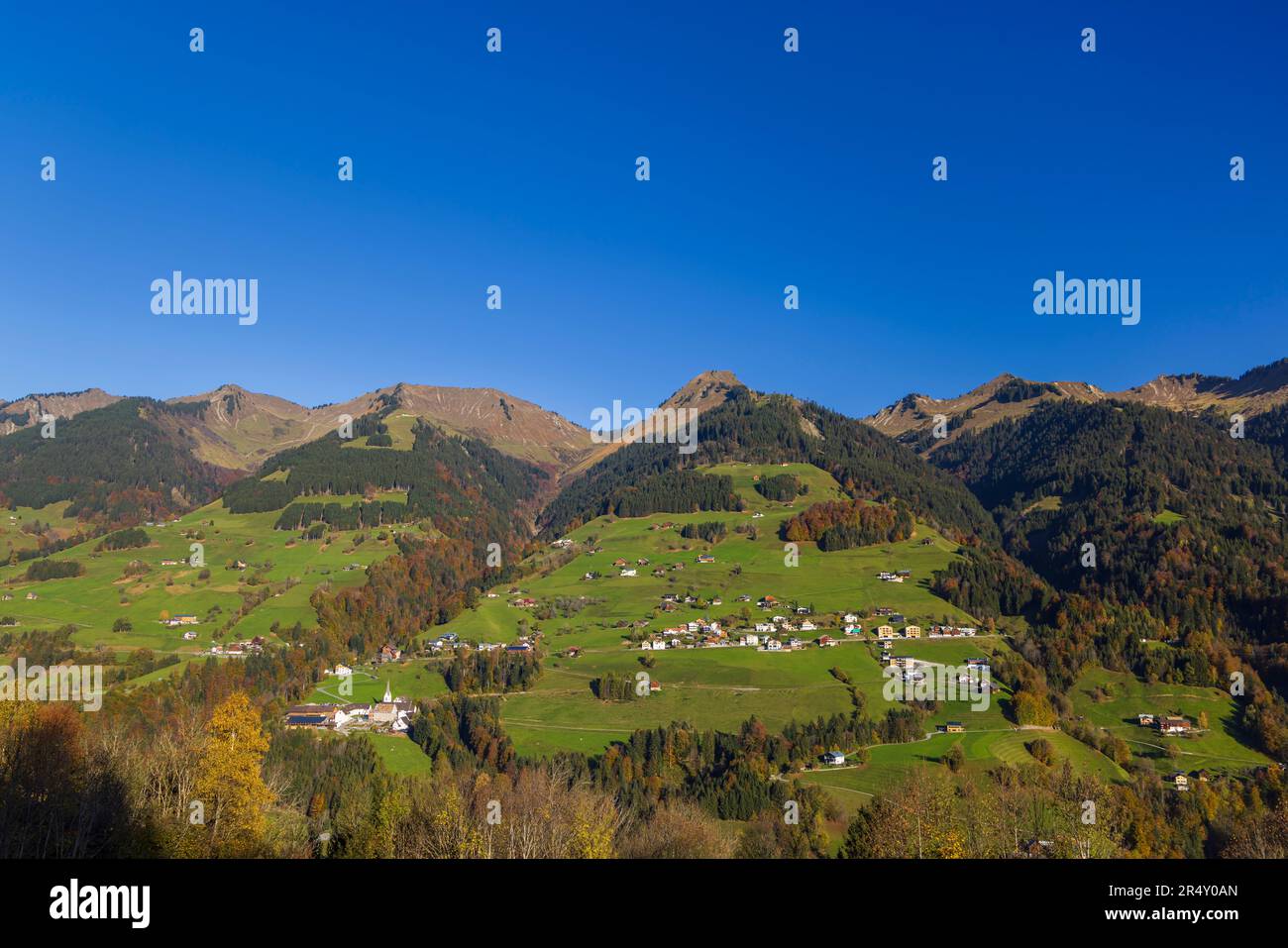 Typical landscape near Sankt Gerold and Bludenz, Bregenzer Wald, Bregenz district, Vorarlberg, Austria Stock Photo