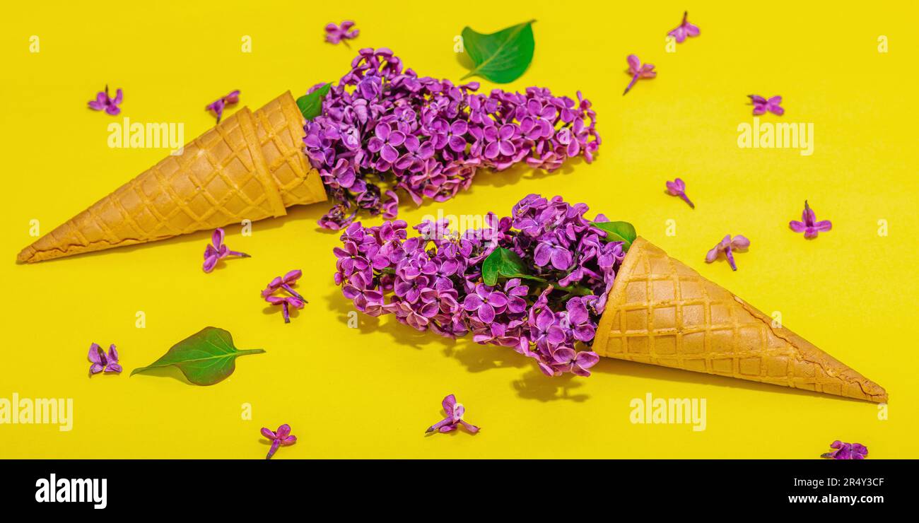 Violet lilac flowers in waffle ice cream cones on yellow background. Flat lay, traditional spring concept, greeting card, banner format Stock Photo