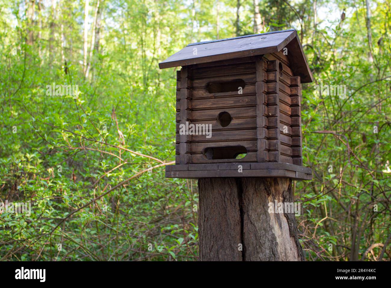 Wooden feeder for wild animals living in the grove. A manger for for squirrels and other rodents made in a form of a house in the park. Stock Photo