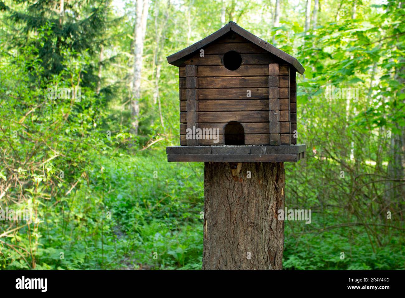 Wooden feeder for wild animals living in the grove. A manger for for squirrels and other rodents made in a form of a house in the park. Stock Photo