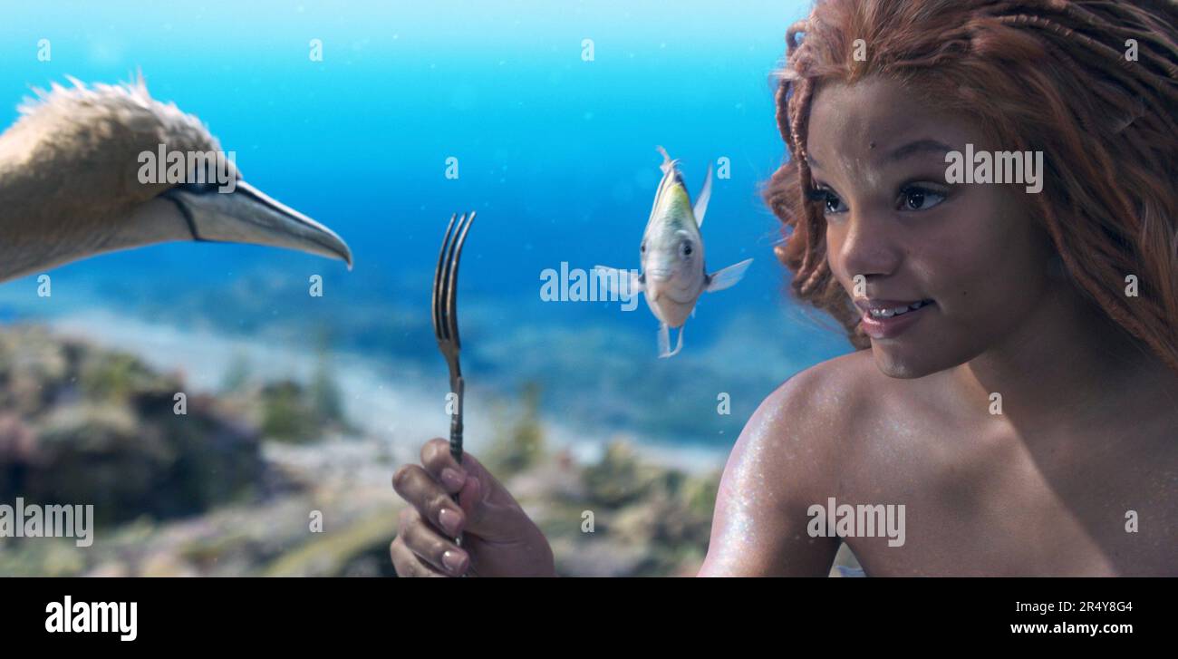 THE LITTLE MERMAID, from left Scuttle (voice Awkwafina), Flounder