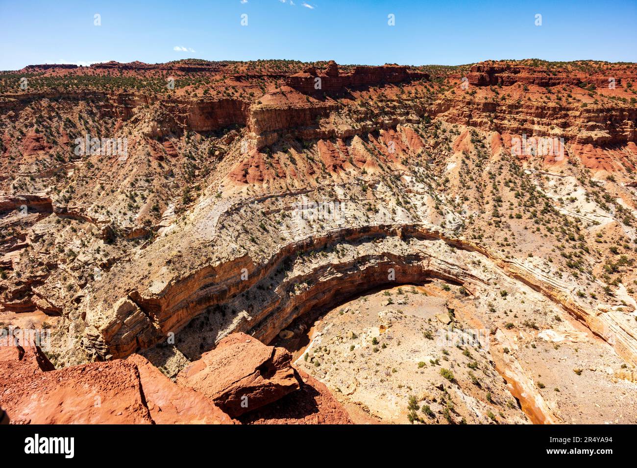 View from Goosenecks Overlook; Capital Reef National Park; Utah; USA