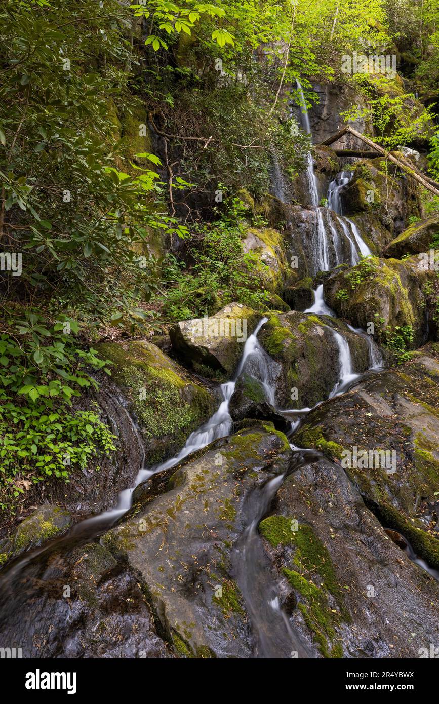 Moss-covered rocks at Place of a Thousand Drips waterfall in spring, Great Smoky Mountain National Park, Tennessee Stock Photo