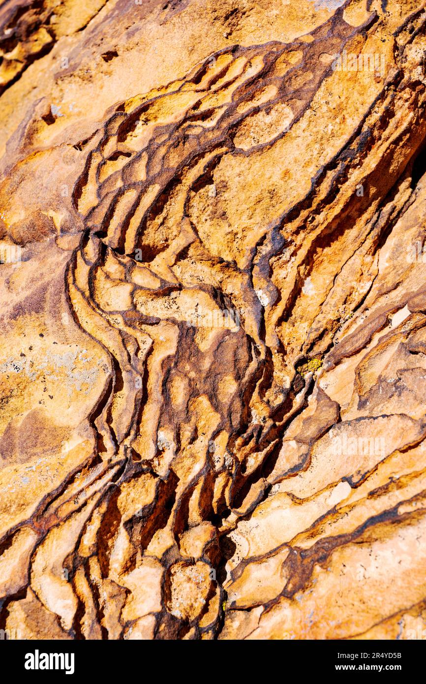 Patterns in sandstone sculpted by erosion; Capital Gorge Trail; Capital Reef National Park; Utah; USA Stock Photo
