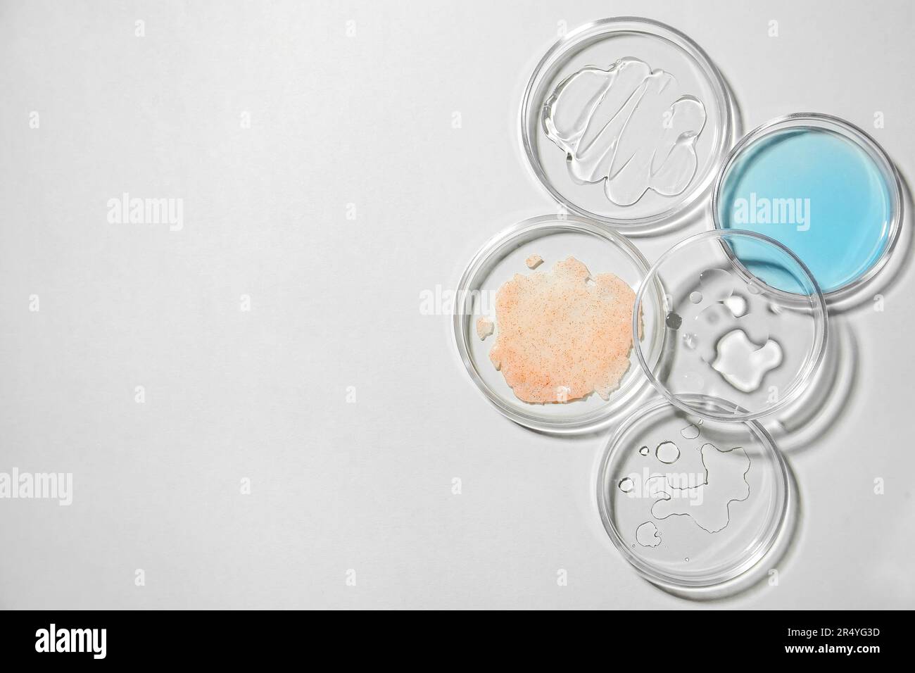 Flat lay composition with Petri dishes on light grey background, space ...