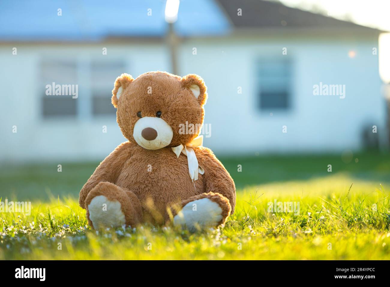 Concept of childhood. Big plush teddy bear sitting alone on green grass ...