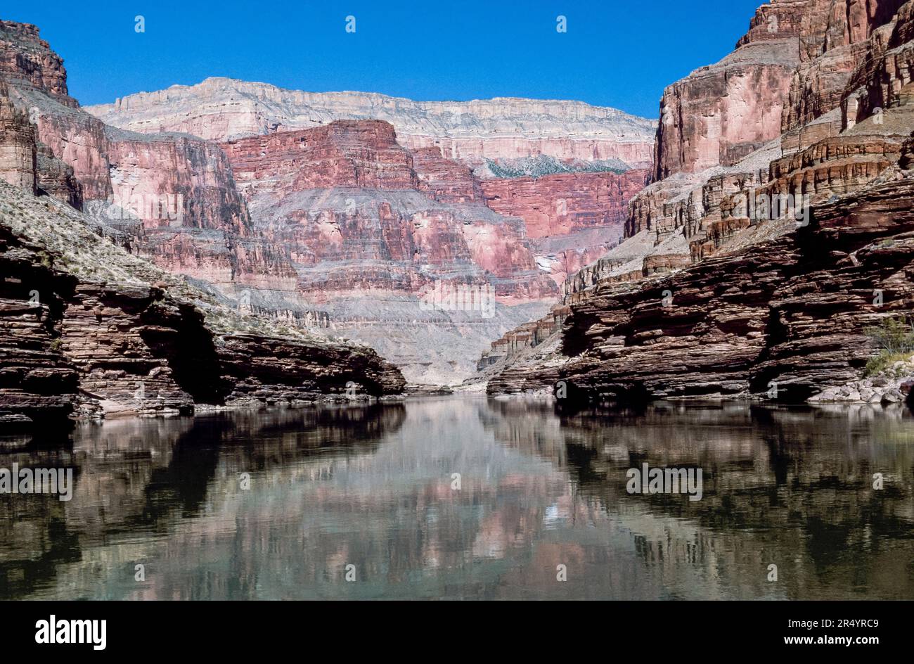 Canyon Rising cliffs of the grand canyon rising above the colorado river in grand ...