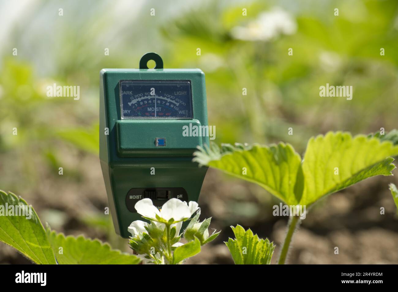 Agricultural meter to measure the soil pH, light and moisture level of