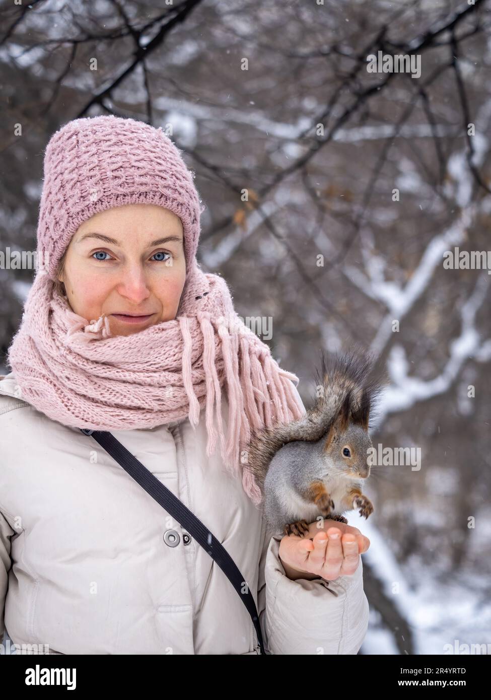 Girl feeds a squirrel with nuts at winter. Squirrel eats nuts from the