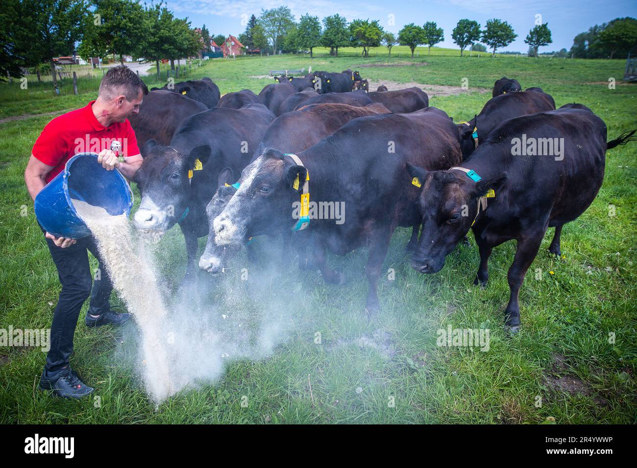 PRODUCTION 30 May 2023, MecklenburgWestern Pomerania, Groß Wokern