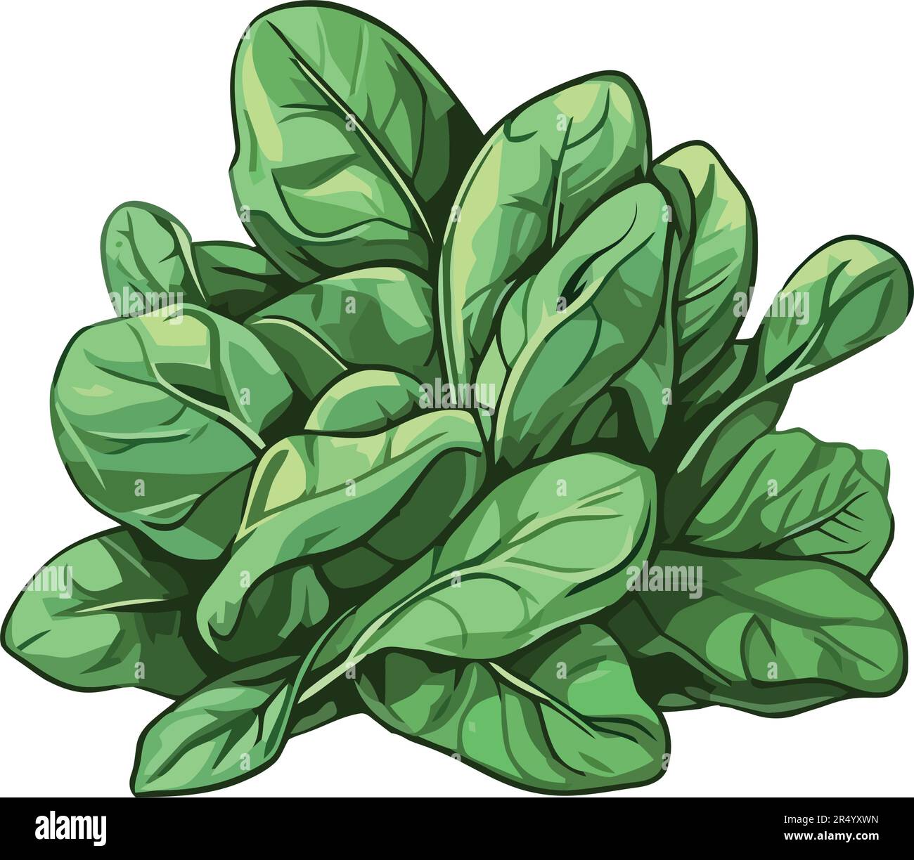 Fresh organic herbs and vegetables for healthy eating Stock Vector ...