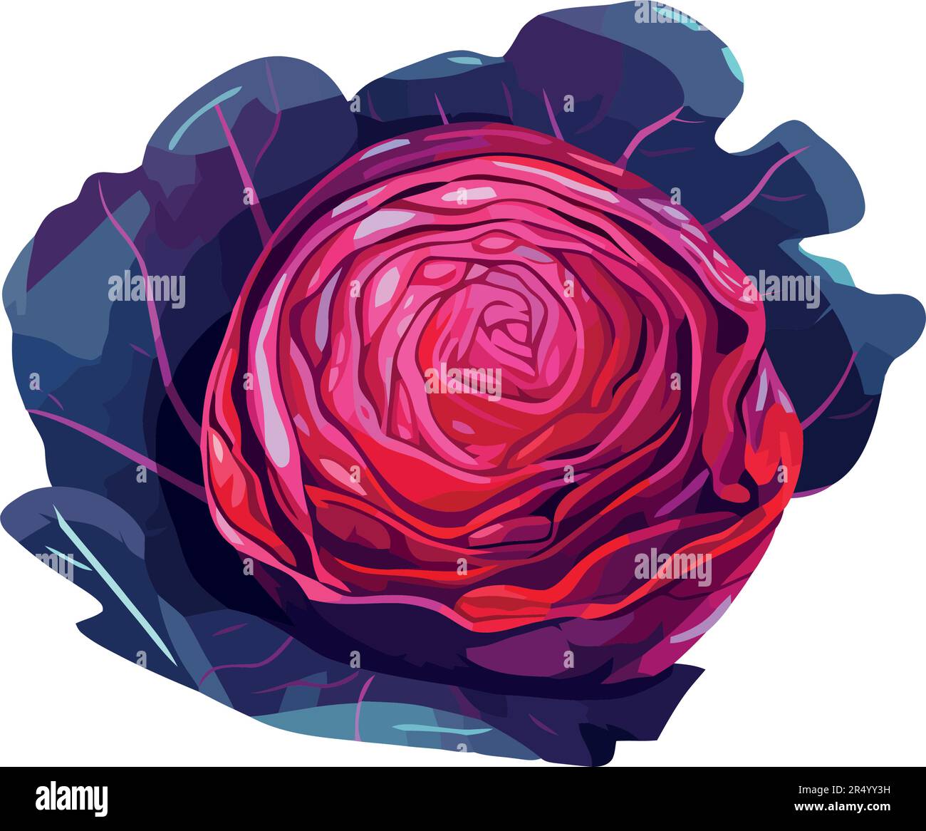 red cabbage vegetable food icon Stock Vector Image & Art - Alamy