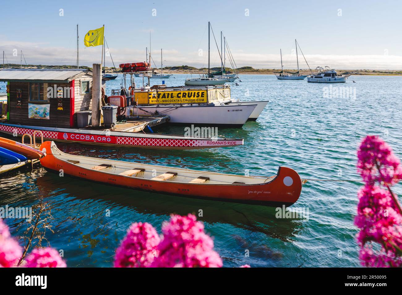 Morro Bay, California, USA May 27, 2023. Boat rentals, Wale wathing, Kayak rentals, Canoe