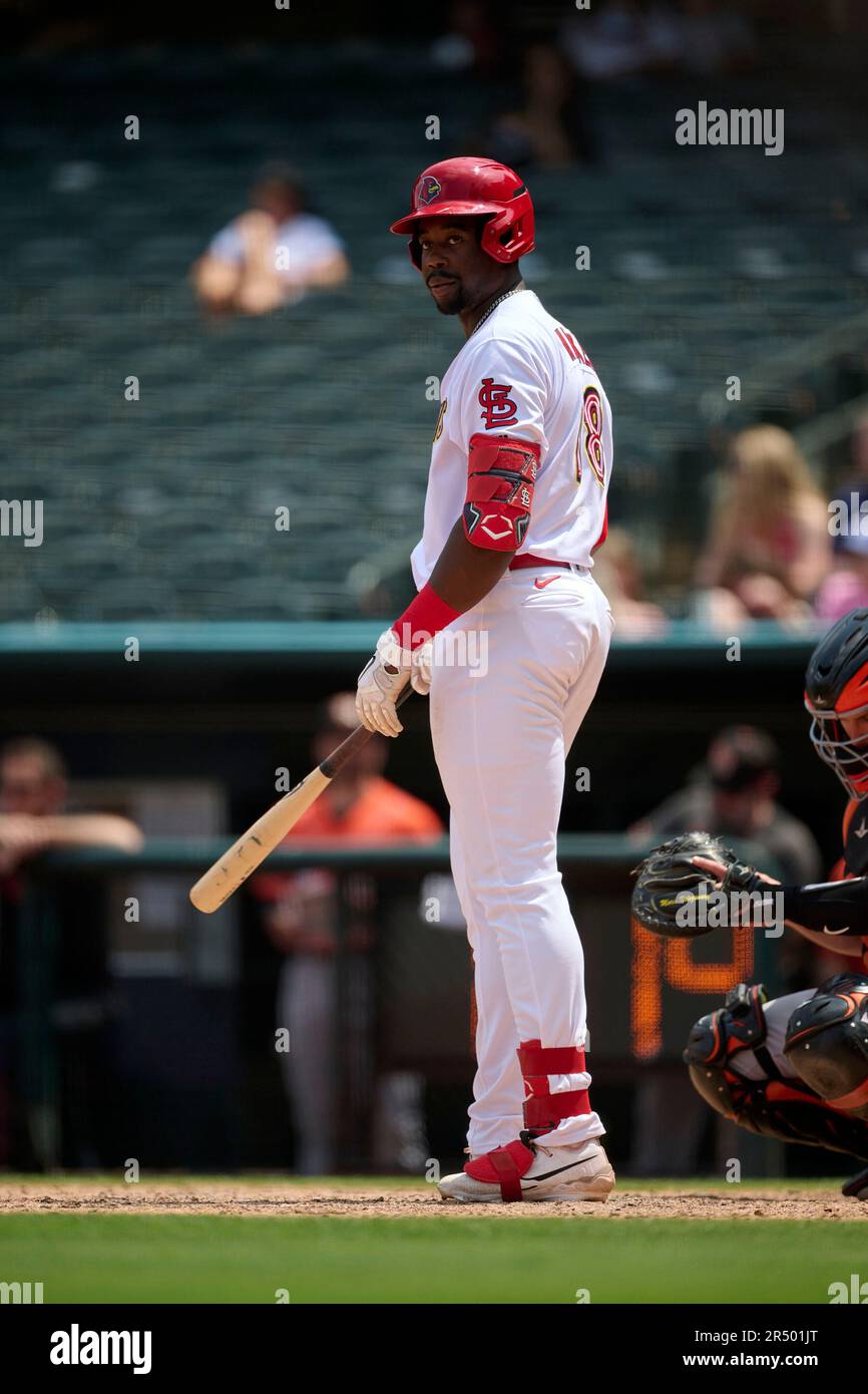 Memphis Redbirds Jordan Walker (18) at bat during an MiLB International  League baseball game against the Norfolk Tides on May 24, 2023 at AutoZone  Park in Memphis, Tennessee. (Mike Janes/Four Seam Images