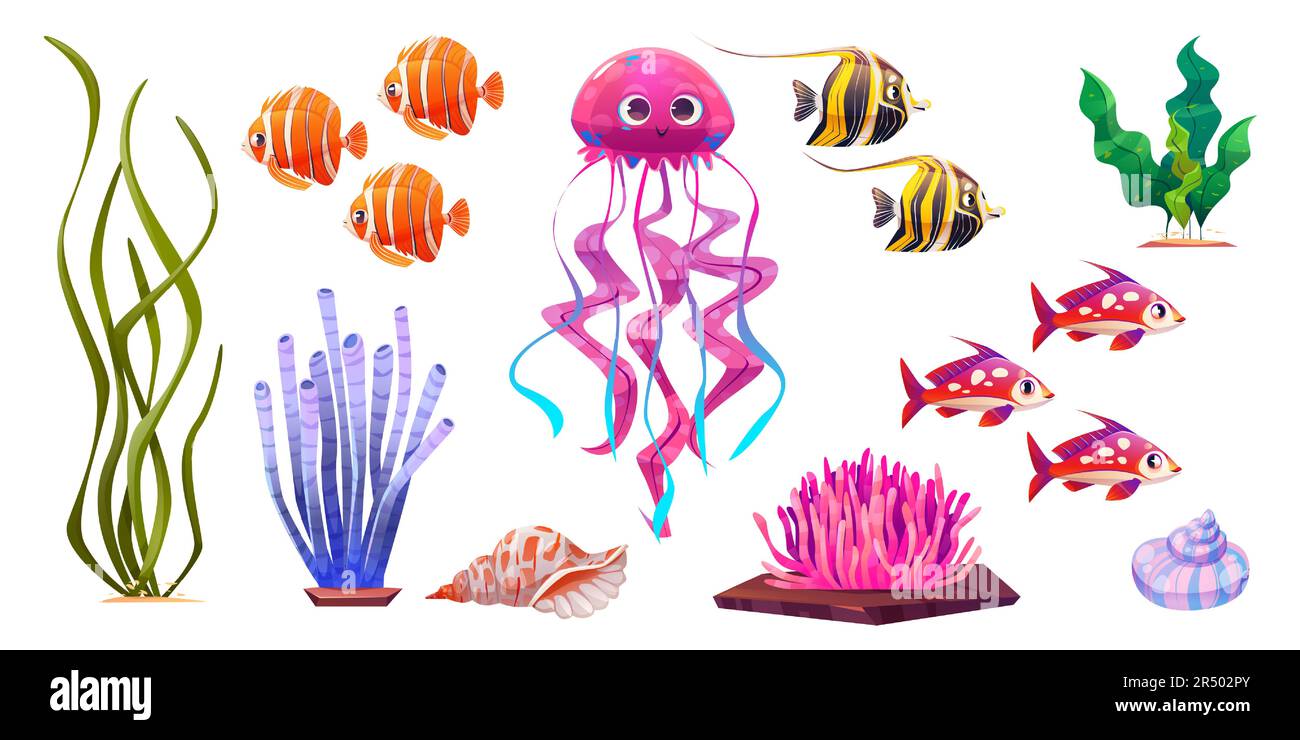 Sea underwater cute coral and jellyfish cartoon vector illustration set isolated on white background. Ocean water bottom life fish and seaweed icon. Aquatic world creature and shell reef nature Stock Vector