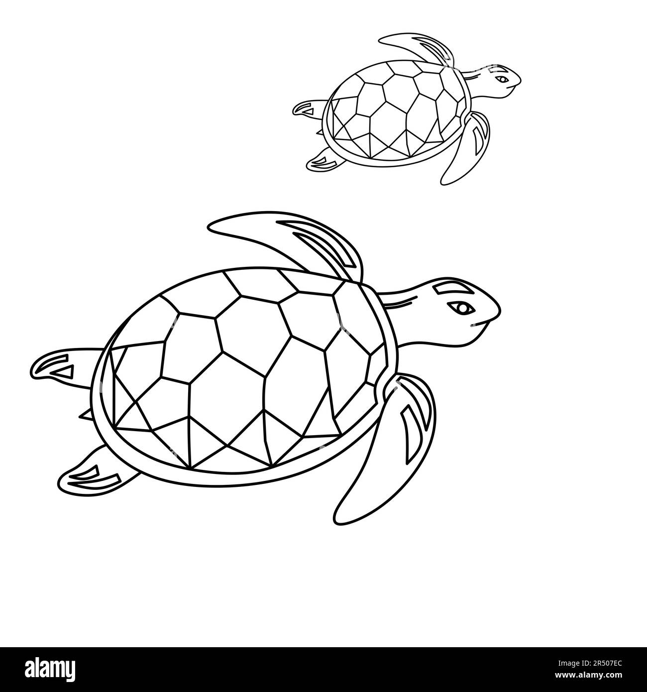 Baby Sea Turtle Color Drawing