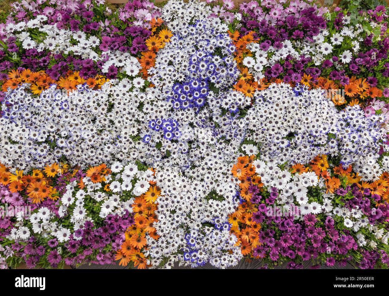 Floral Union Jack Stock Photo Alamy
