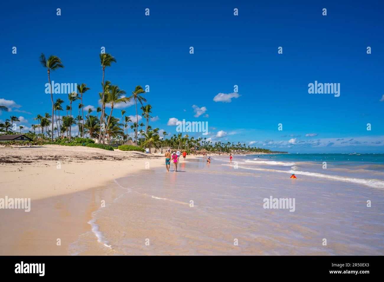 View of palm trees and sea at Bavaro Beach, Punta Cana, Dominican Republic, West Indies, Caribbean, Central America Stock Photo