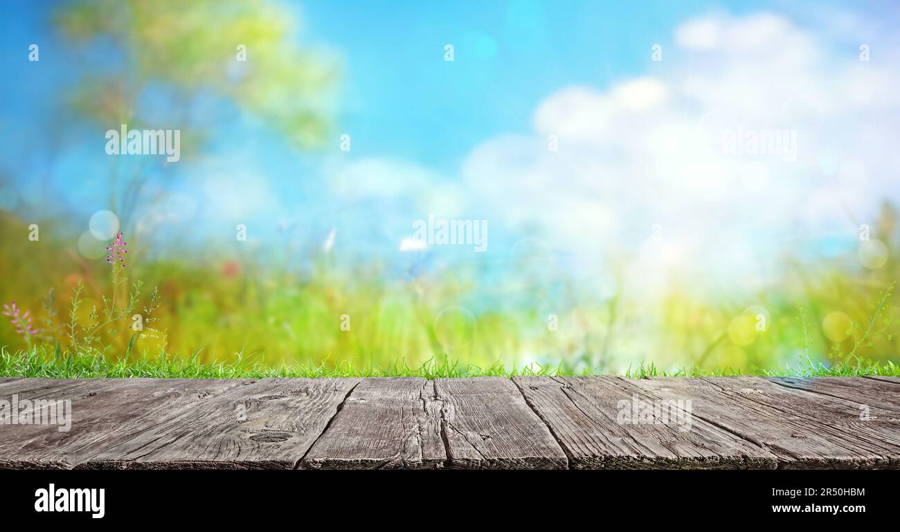 Empty table spring flowers hi-res stock photography and images - Alamy