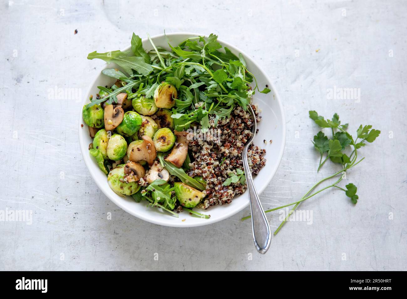 Mushroom and Brussels sprouts pan with quinoa Stock Photo