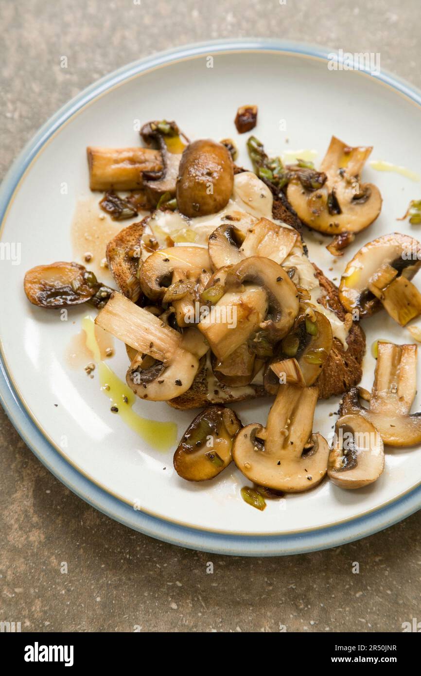 Fried mushrooms on tahini toast Stock Photo Alamy