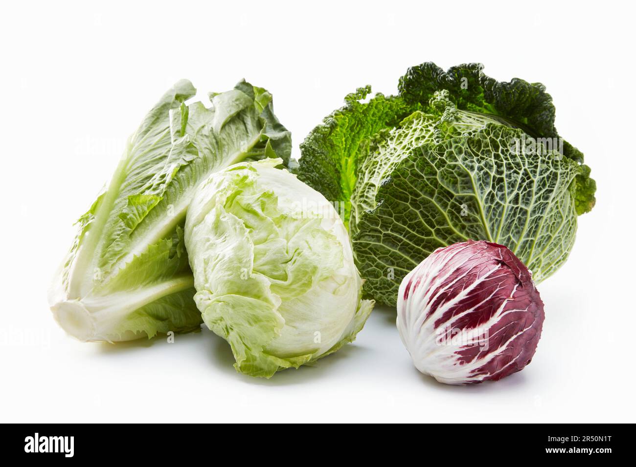 Various heads of lettuce and a savoy cabbage against a white background