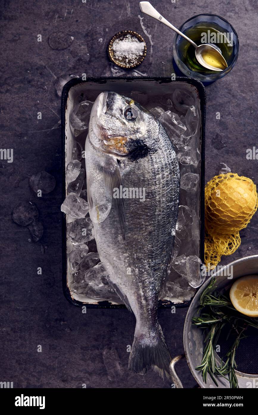 Dorade royale hi-res stock photography and images - Alamy