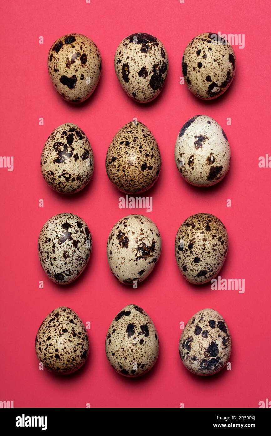 Quail eggs on a pink background Stock Photo