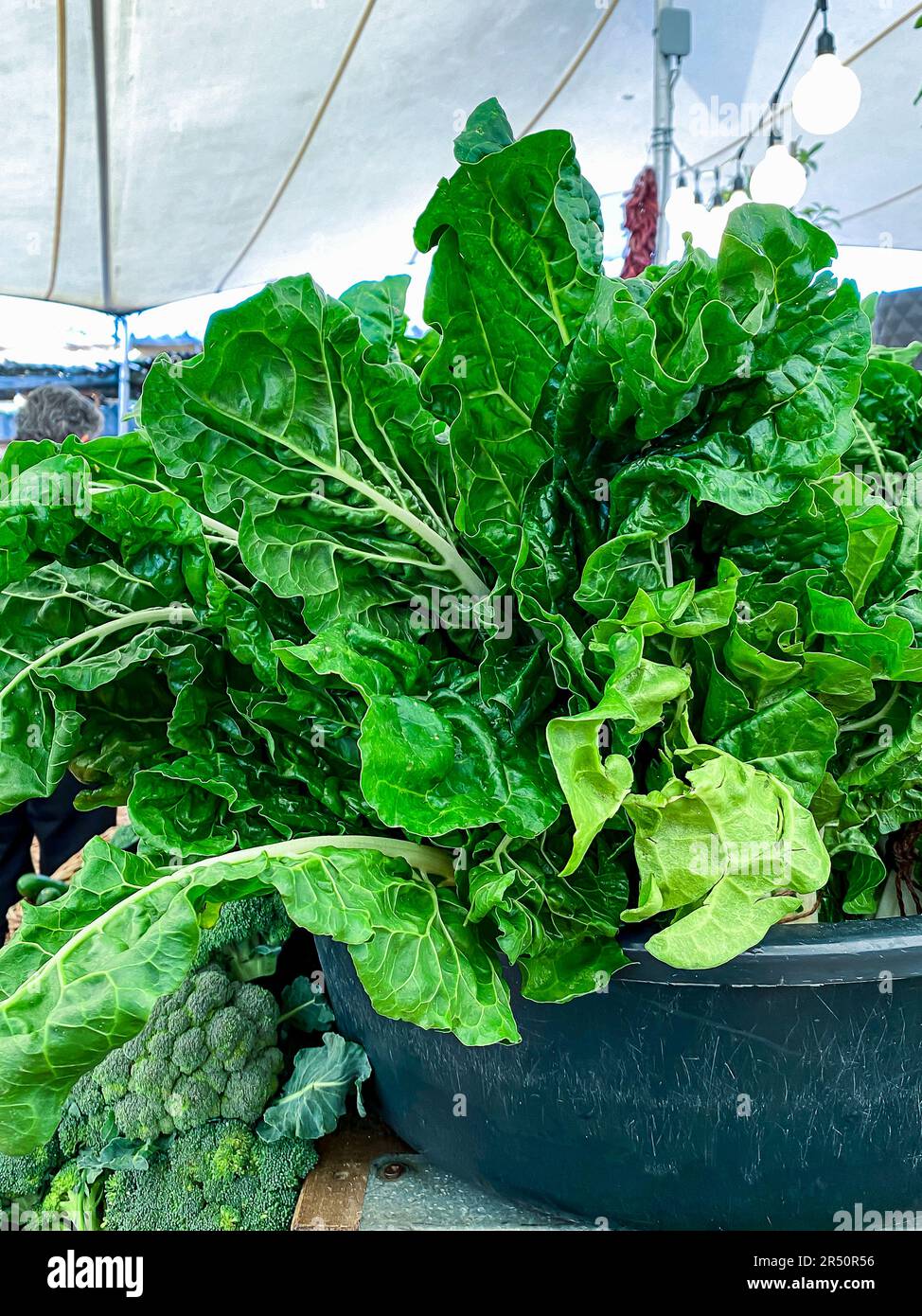 Organic chard and broccoli at a farmers' market in Cape Town, South Africa Stock Photo