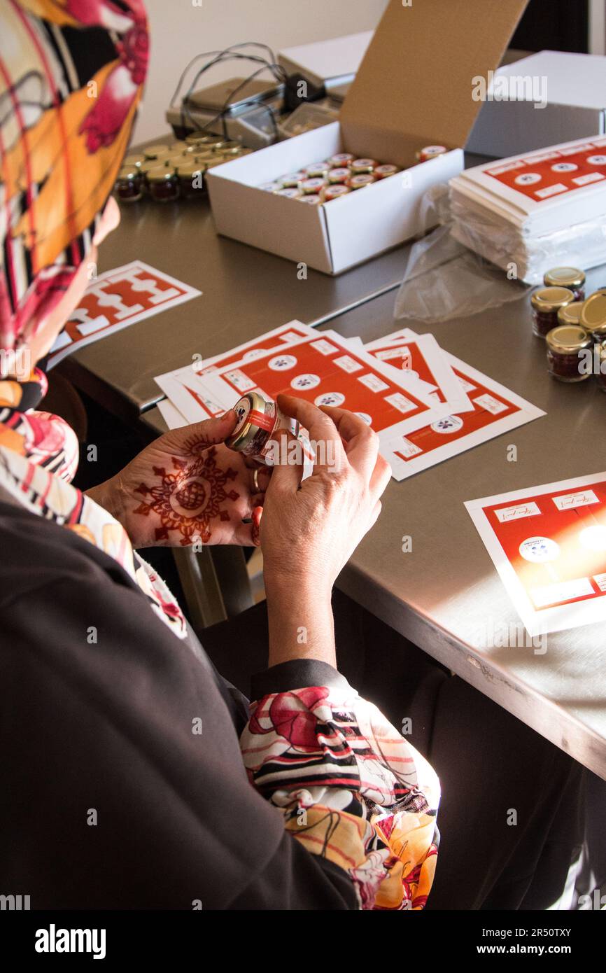 Women in Taliouine's Saffron Cooperative, Morocco, Labeling Their Saffron Packaging Stock Photo