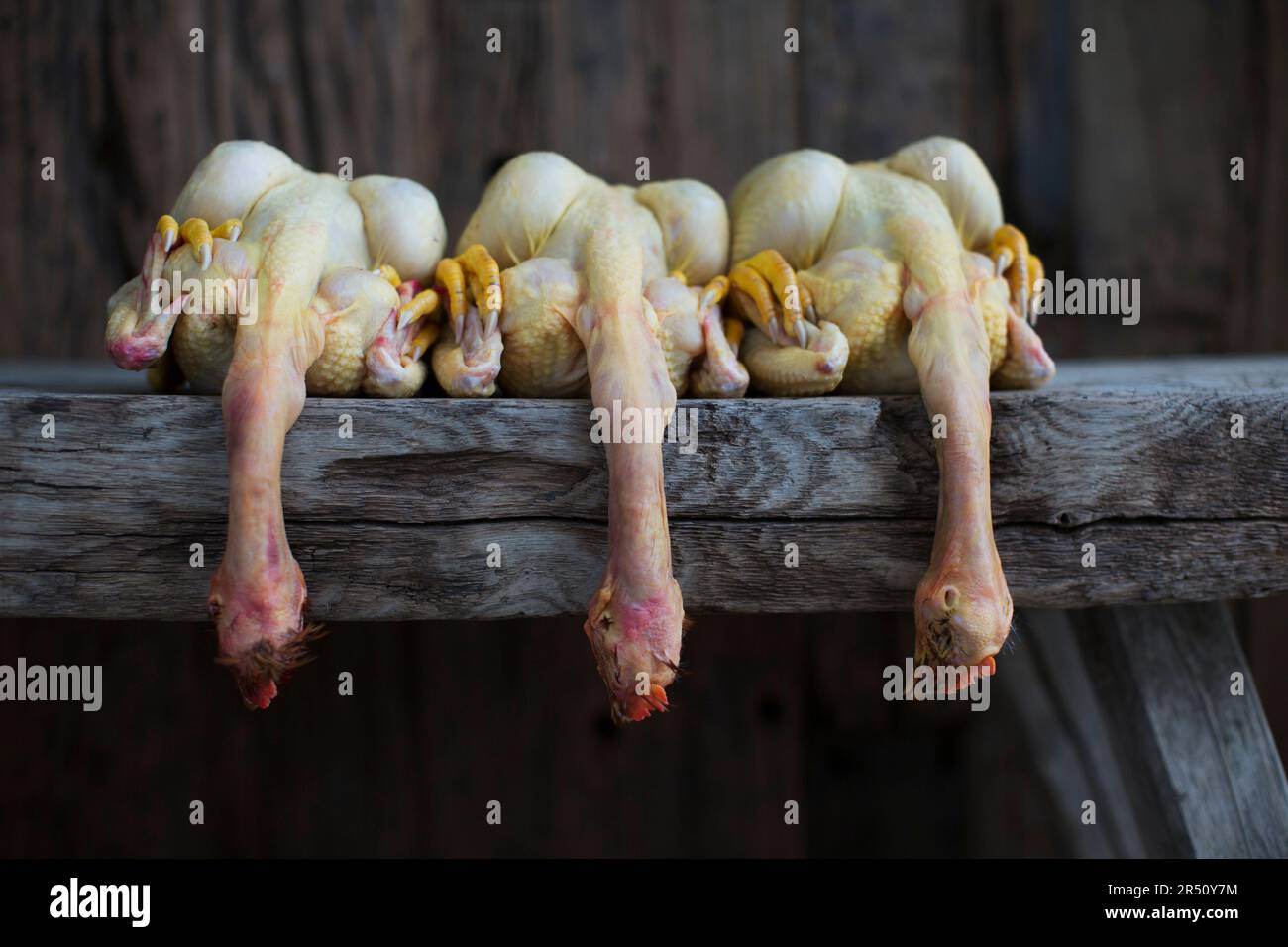 Three plucked chickens on wooden table Stock Photo