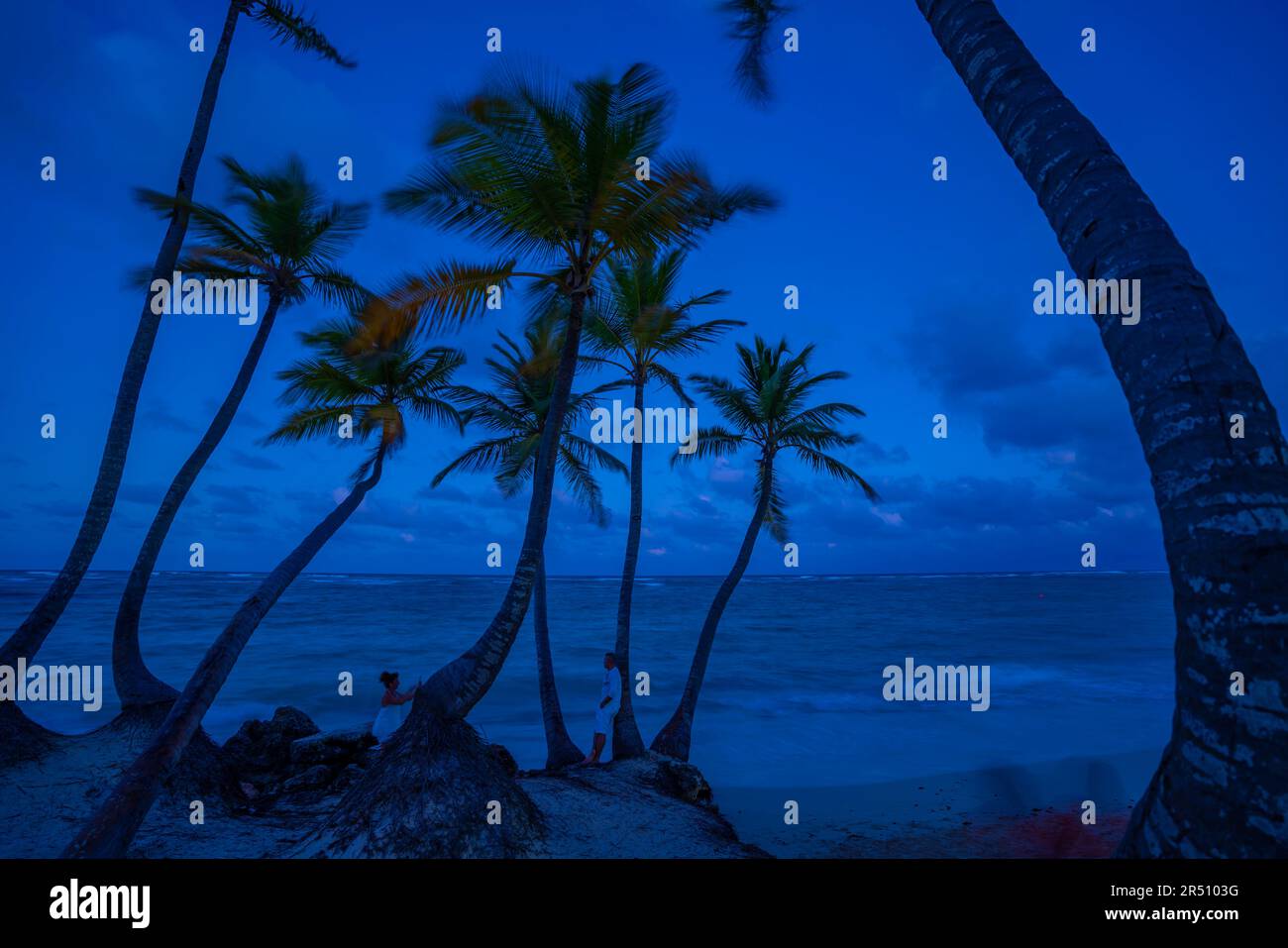 View of palm trees on Bavaro Beach at dusk, Punta Cana, Dominican Republic, West Indies, Caribbean, Central America Stock Photo
