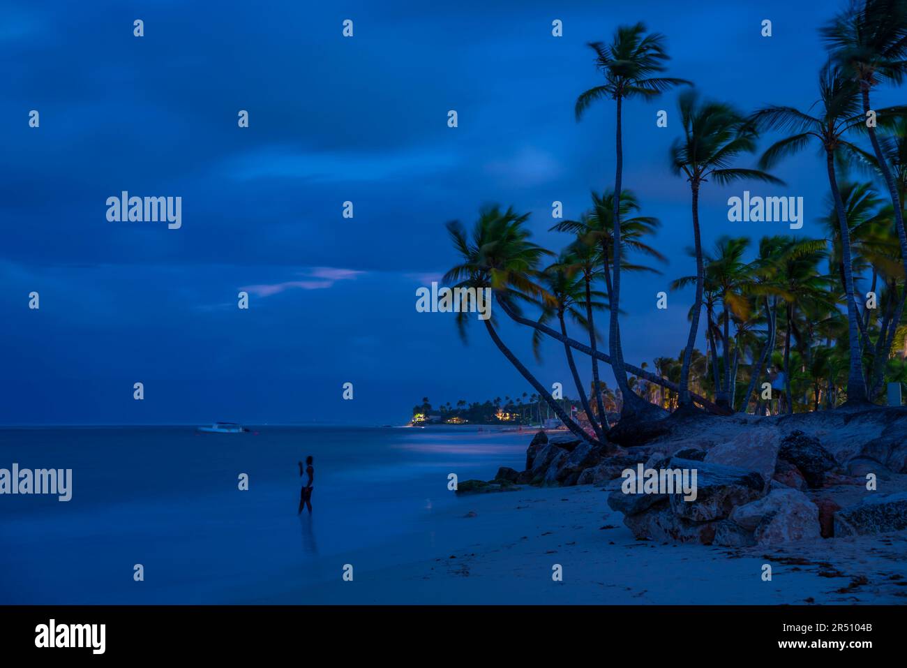 View of palm trees on Bavaro Beach at dusk, Punta Cana, Dominican Republic, West Indies, Caribbean, Central America Stock Photo