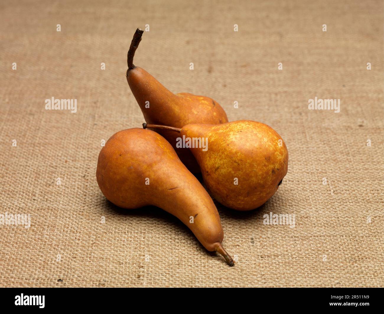 Pears of the variety 'Beurre bosc' on sackcloth Stock Photo