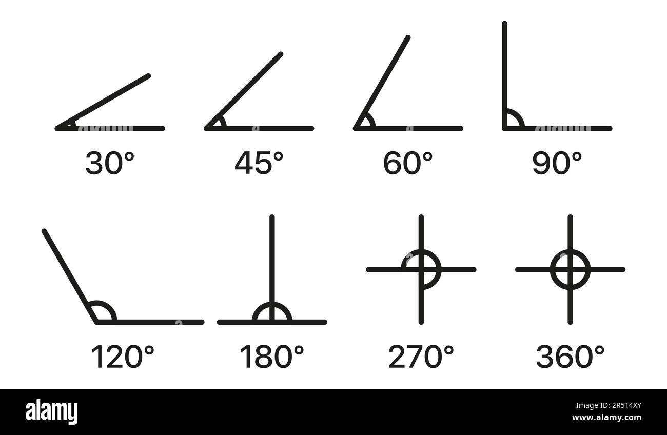 Immerse yourself in a captivating collection of vector illustrations