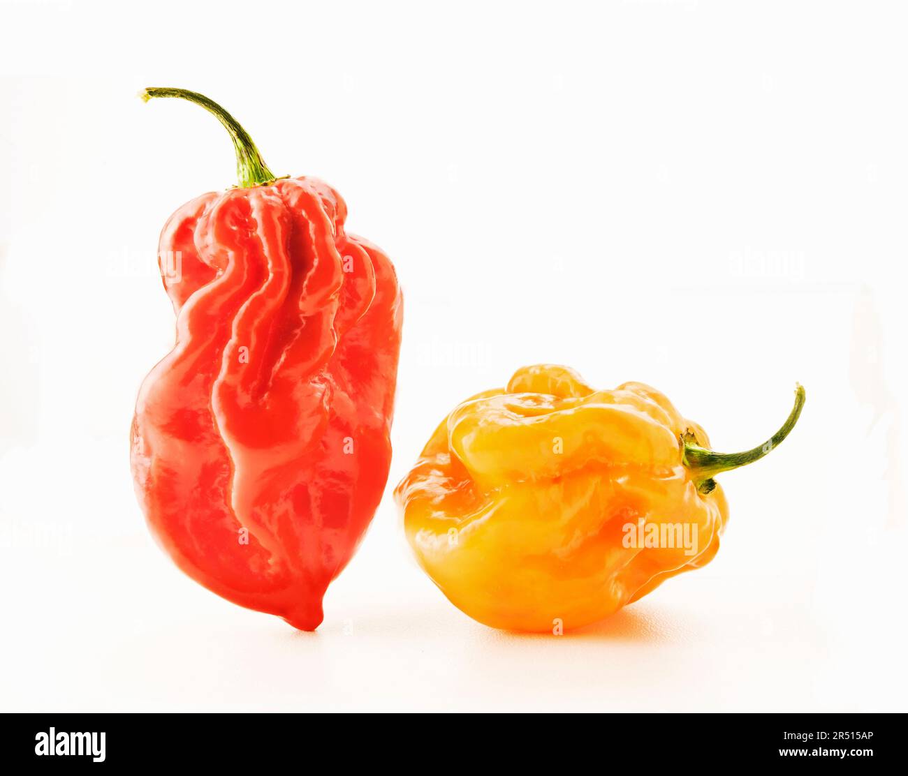Red chili pepper outline hi-res stock photography and images - Alamy