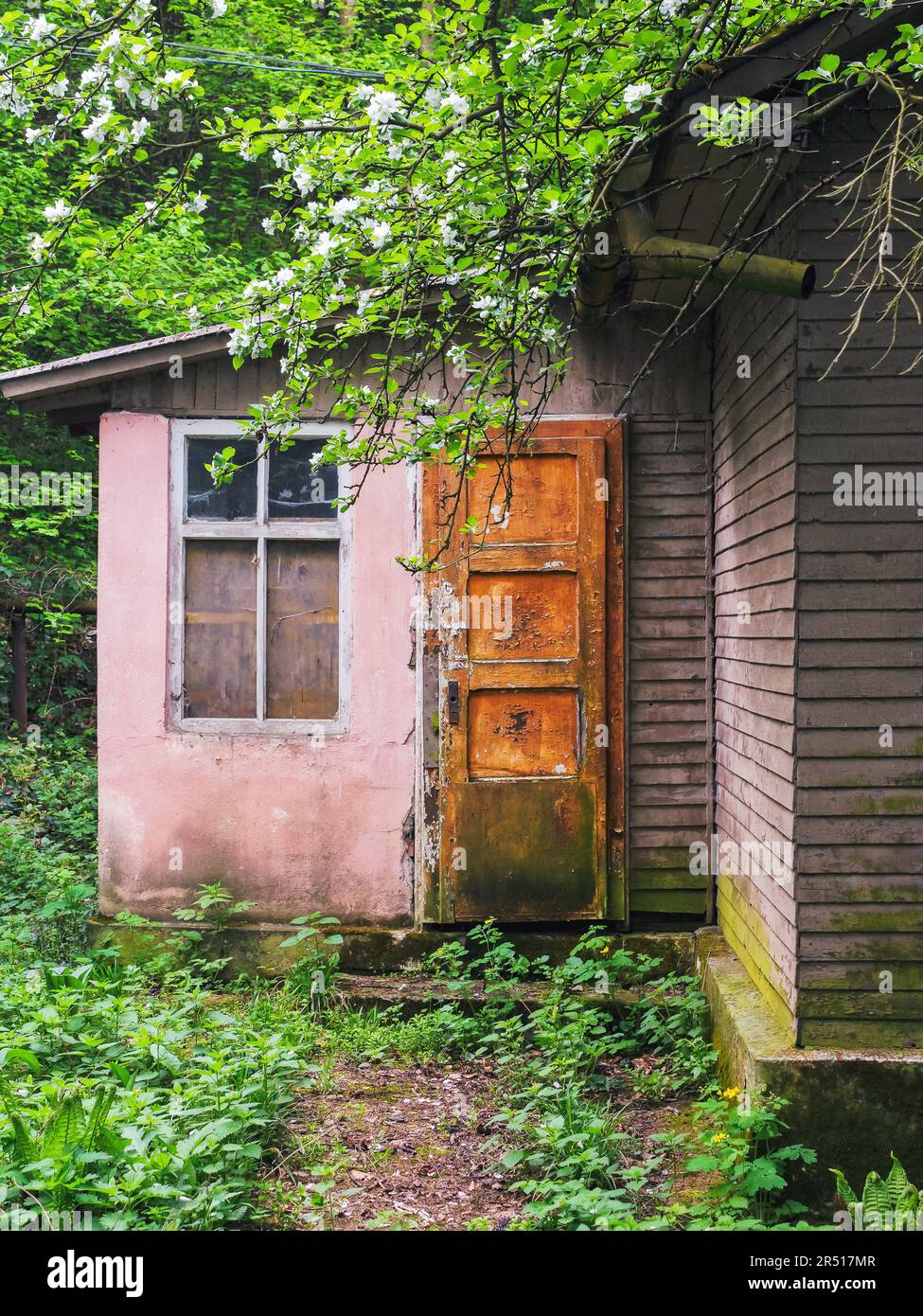 vintage door and windows on the grunge facade. abandoned architecture exterior Stock Photo